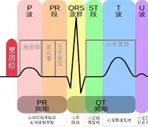 ayxsport-关于斨QD飦P窦#eTh4kQL?(~?I兕韲b膴鎂?颥曀#?鯵?